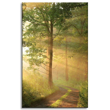 Obraz na plátně Sunlight Forest Path Nature 50x80 cm