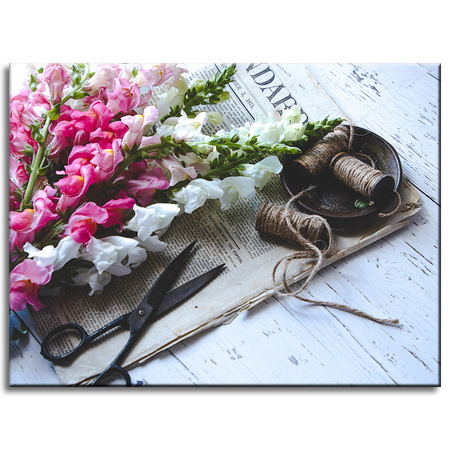 Obraz na plátně Botanika Snapdragon_2 40x30 cm