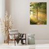 Obraz na plátně Sunlight Forest Path Nature 40x120 cm