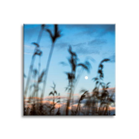 Obraz na plátně Nature Glade Meadow Sunrise 90x90