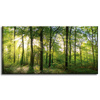 Obraz Slunce, les, stromy, paprsky světla, 80x40 cm