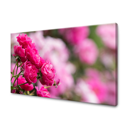 Obraz na plátně Botanika Růžové růže 40x30 cm
