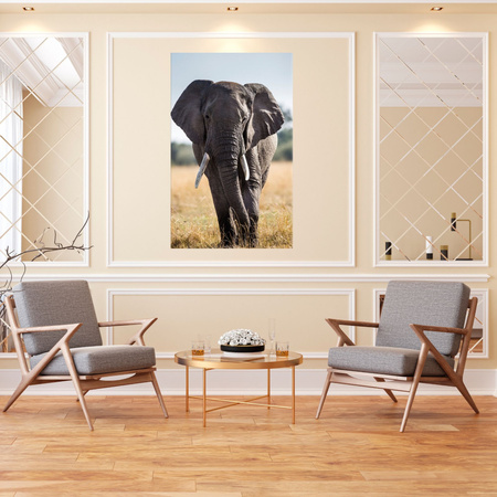 Obraz na plátně Velký šedý slon Savannah Afrika 80x120 cm