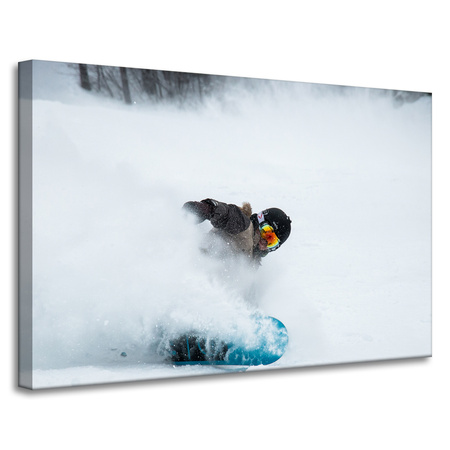 Obraz na plátně Snowboard Snow Winter 90x60