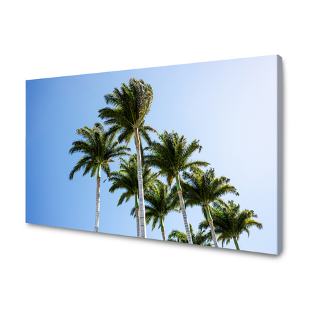 Obraz Nature Palms 40x30 cm