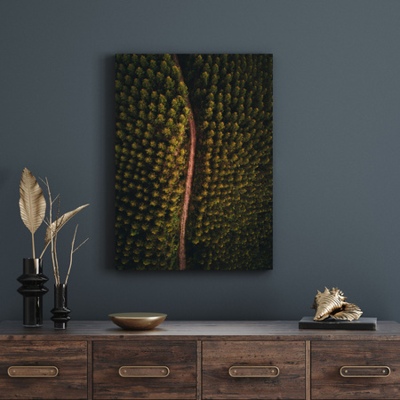 Obraz na plátně Přírodní cesta z ptačí perspektivy 30x40 cm