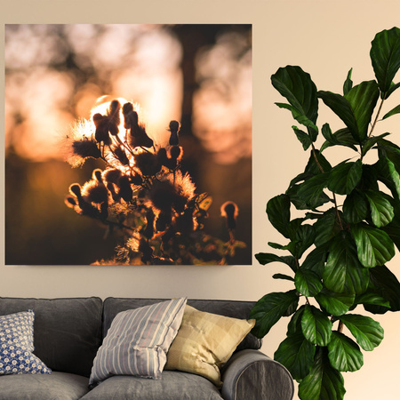 Obraz na plátně Botanika ráno 40x40 cm