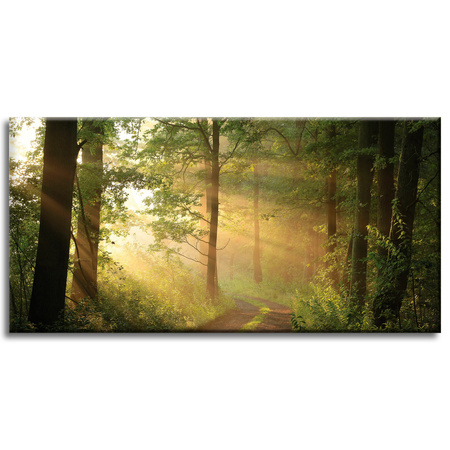 Obraz na plátně Sunlight Forest Path Nature 80x40 cm