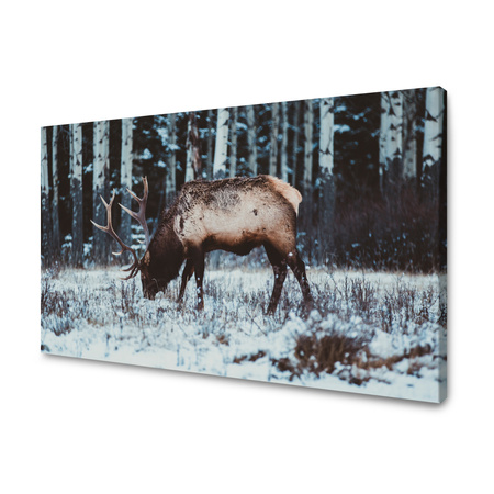 Obraz Kanadská zvěř jelena 40x30 cm