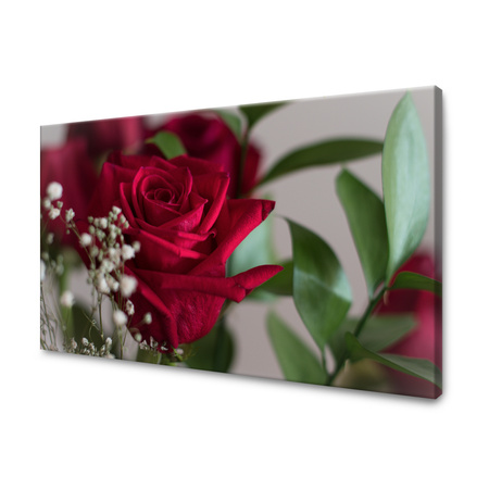 Obraz na plátně Botanika Červené růže 40x30 cm