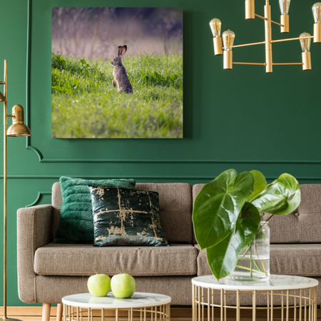 Obraz na plátně Zvířata Zajíc 40x40 cm