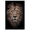 Obraz na plátně Lví obličej Červené oči Divočina 80x120 cm
