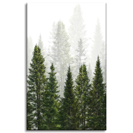 Obraz na plátně Rain Forest Nature Trees 50x80 cm